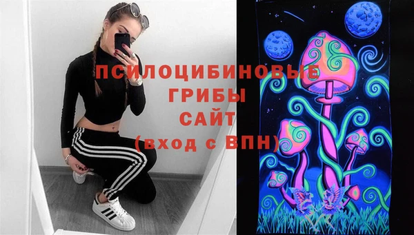 спиды Арсеньев