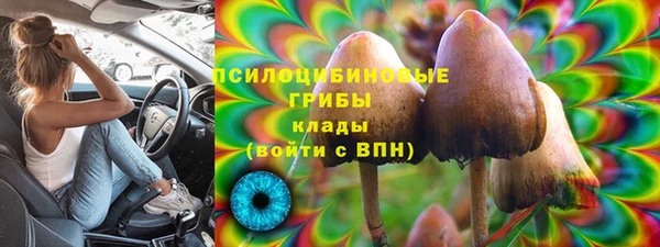 мяу мяу мука Армянск