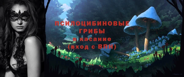 спиды Арсеньев
