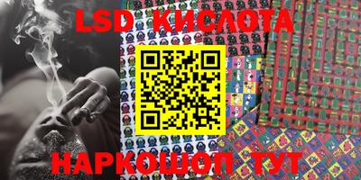 стафф Новодвинск