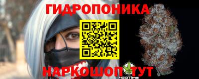 эйфоретик Новозыбков