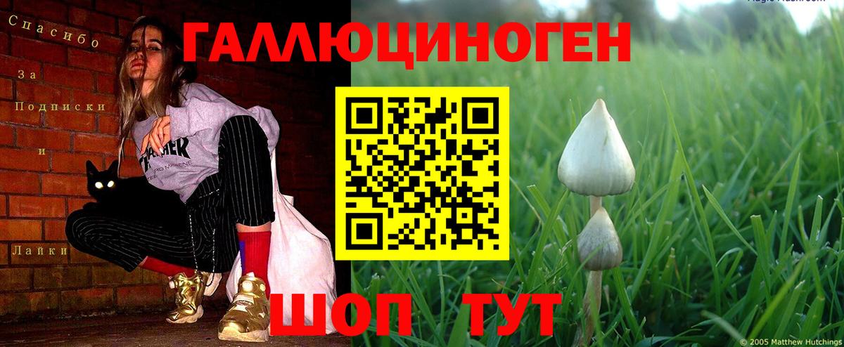 Псилоцибиновые грибы GOLDEN TEACHER  Вход с VPN  магазин  наркотиков  Чайковский 