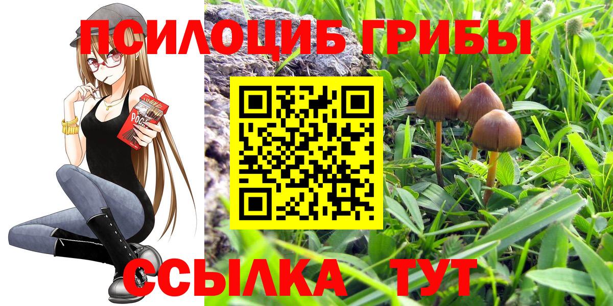 Галлюциногенные грибы MAGIC MUSHROOMS Чайковский